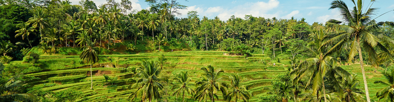 Bali Family Holiday with Teenagers