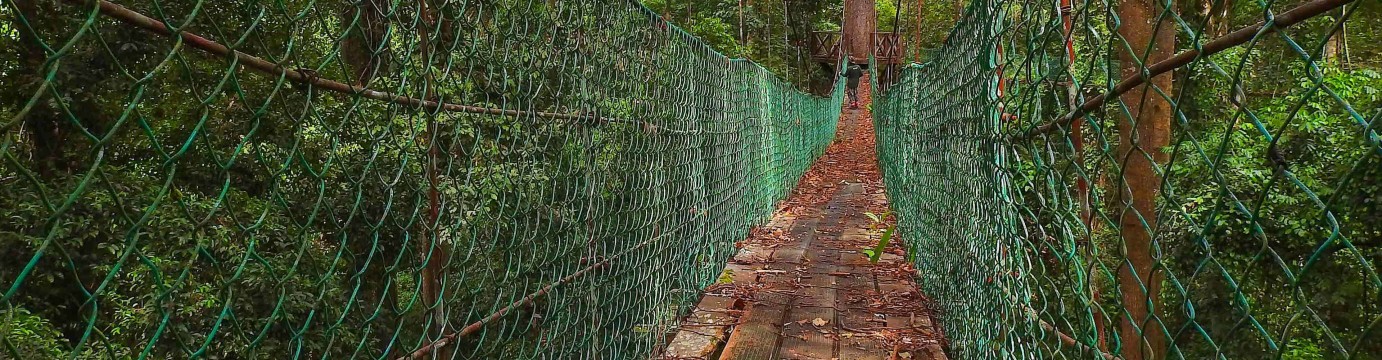 Borneo Expedition: Maliau Basin - Sabah's Lost World Trek