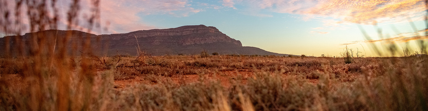 Flinders Ranges Explorer