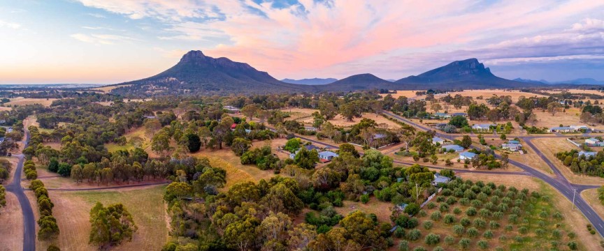 A Walking Wildflower Discovery of the Grampians and Beyond