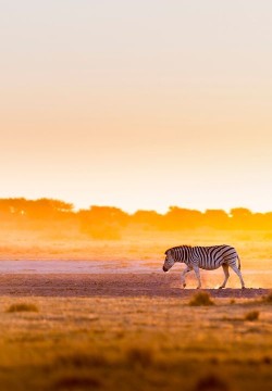 Botswana