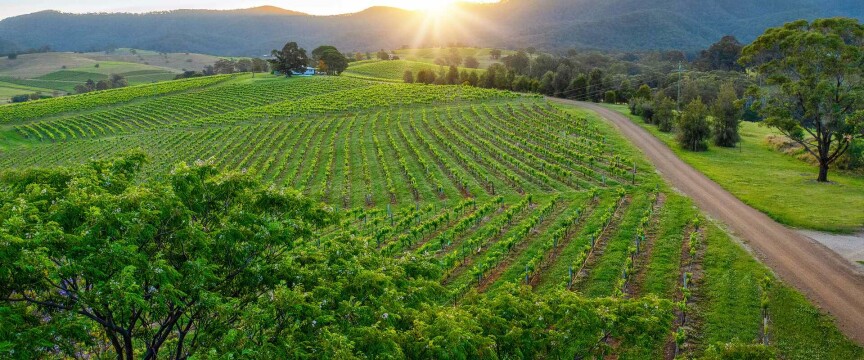 Natural and Gourmet Wonders of NSW