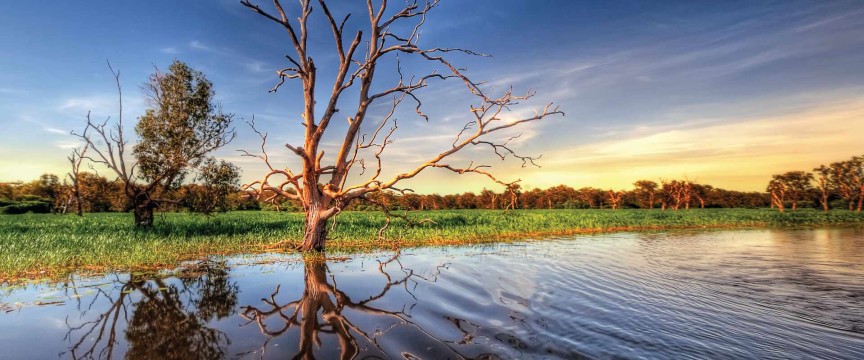 Kimberley and Top End