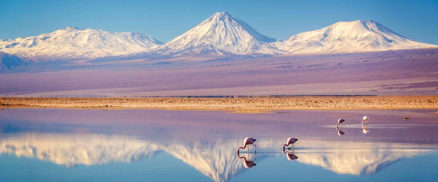 Atacama Adventure