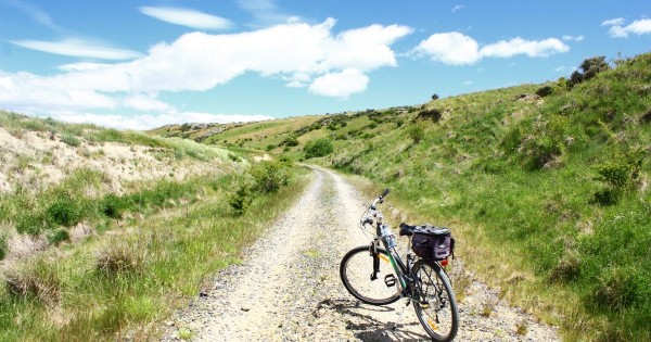 Otago Rail Trail World Travellers New Zealand