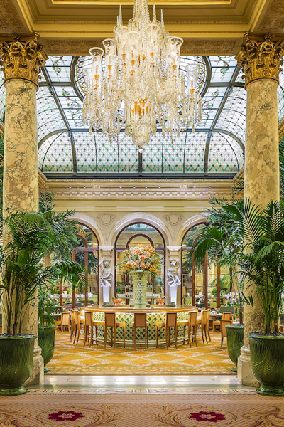 The Palm Court NY